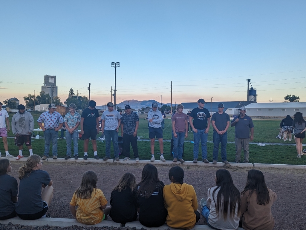 hsfb
